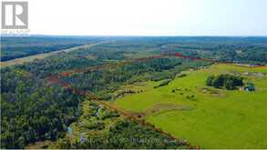 253 CRAIG SIDE ROAD | Oro-Medonte Ontario | Slide Image Four