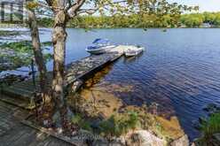 124 HEALEY LAKE WATER | The Archipelago Ontario | Slide Image Thirty-three