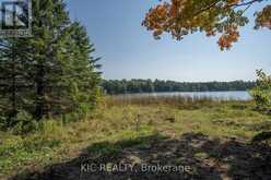 0 PEARCE ROAD | Kawartha Lakes Ontario | Slide Image Ten