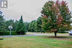 38 BAY RIDGE ROAD | Hastings Highlands Ontario | Slide Image Thirty-three