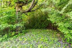 PT LT 4 OSPREY ARTEMESIA TLN | Grey Highlands Ontario | Slide Image Six