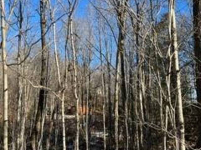 000 BLANCHARDS ROAD Kawartha Lakes Ontario, K0M 2B0 - Vacant Land For Sale