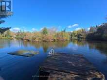 1057 TAG ALDER TRAIL | Minden Hills Ontario | Slide Image Four