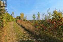 838471 4TH LINE E | Mulmur Ontario | Slide Image Twenty