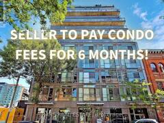 203 - 127 QUEEN STREET E Toronto Ontario, M5C 1S3