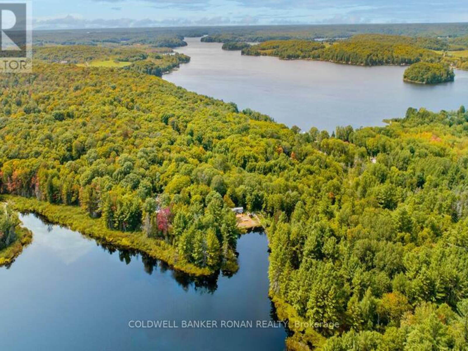 1187 WINDERMERE ROUTE, Muskoka, Ontario P0B 1M0