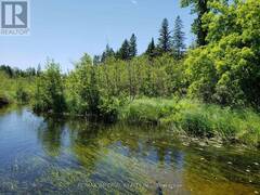 15572 HIGHWAY 17 Whitewater Region Ontario, K0J 1Y0