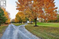 1971 COUNTY RD 46 ROAD | Kawartha Lakes Ontario | Slide Image Five