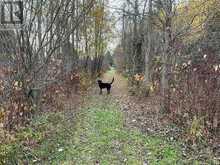 103014 10 SIDE ROAD | East Garafraxa Ontario | Slide Image Thirty-seven