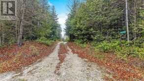 34566 SIDEROAD 5 | West Grey Ontario | Slide Image Twenty-four