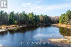 0 FAIRY FALLS ROAD | Lake of Bays Ontario | Slide Image Twenty-five