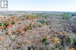 0 FAIRY FALLS ROAD | Lake of Bays Ontario | Slide Image Twenty-nine