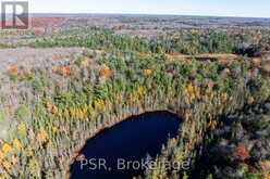 0 FAIRY FALLS ROAD | Lake of Bays Ontario | Slide Image Fifteen