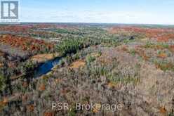 0 FAIRY FALLS ROAD | Lake of Bays Ontario | Slide Image Twenty-three