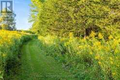 610 MORNING SIDE ROAD | East Gwillimbury Ontario | Slide Image Thirty-seven