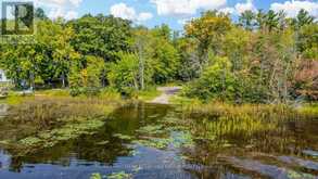 1023 SOPHERS LANDING ROAD | Gravenhurst Ontario | Slide Image Thirty-three