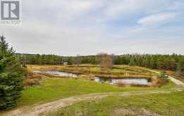 1108 SANDY HOOK ROAD | Kawartha Lakes Ontario | Slide Image Nineteen