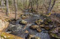 1187 WINDERMERE ROUTE | Muskoka Ontario | Slide Image Twenty-three