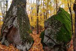 1187 WINDERMERE ROUTE | Muskoka Ontario | Slide Image Twenty-eight