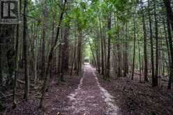 415040 10TH LINE | The Blue Mountains Ontario | Slide Image Thirty-five