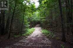 415040 10TH LINE | The Blue Mountains Ontario | Slide Image Thirty-six