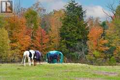 18555 HIGHWAY 12 | Greenbank Ontario | Slide Image Thirty-six