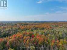 793510 GREY ROAD 124 ROAD | Grey Highlands Ontario | Slide Image Thirty-two