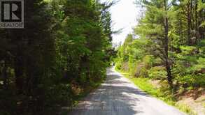 68 MCCAULEY ROAD | Rosseau Ontario | Slide Image Nine