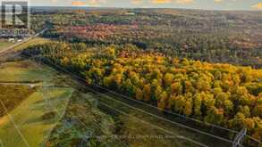 LT23&24 CON 8 | Waubaushene Ontario | Slide Image Fourteen