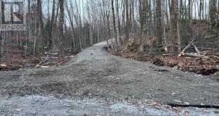 0 RIDING TRAIL | Minden Hills Ontario | Slide Image Fourteen