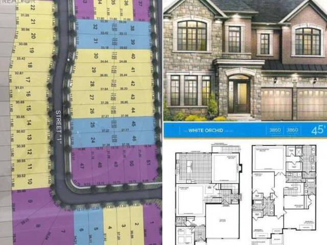 31 DOLOMITE DRIVE Brampton Ontario, L6P 4R6