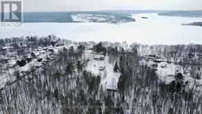 250 PEEK-A-BOO TRAIL | Tiny Ontario | Slide Image Eight