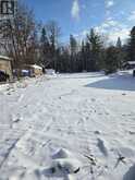 77 ANTIQUARY BEACH ROAD N | Kawartha Lakes Ontario | Slide Image Three