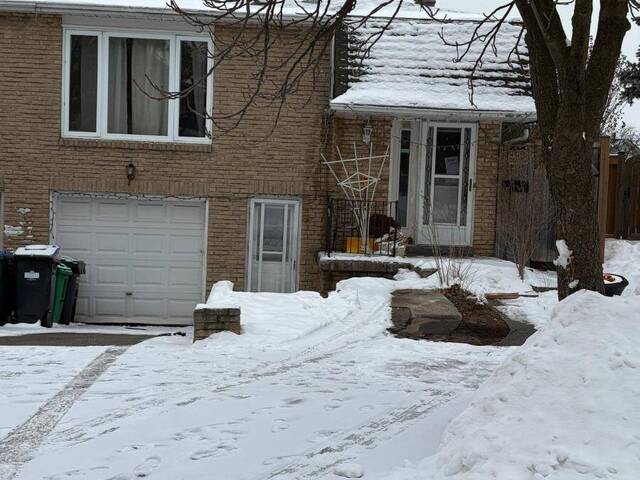 103 SALISBURY CIRCLE Brampton Ontario, L6V 2Z4