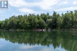 1 HICKEY ISLAND | Leeds and the Thousand Islands Ontario | Slide Image Forty