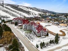 272 - 220 GORD CANNING DRIVE The Blue Mountains Ontario, L9Y 3Z2