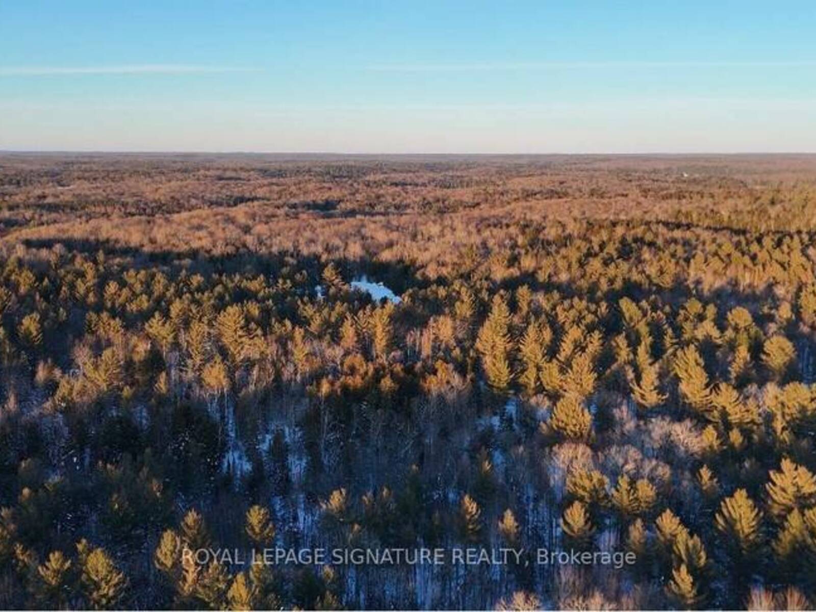 LOT 15 CON 5 MACAULAY, Bracebridge, Ontario P1L 1E9