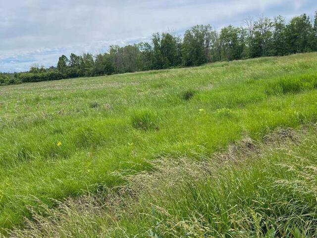 N/A HIGHWAY 48 Georgina Ontario, L0E 1N0 - Vacant Land For Sale