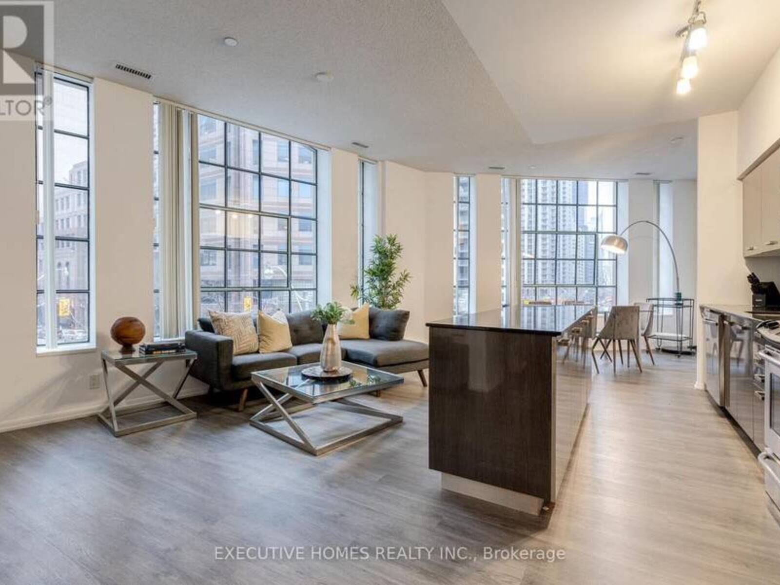 203 - 832 BAY STREET, Toronto, Ontario M5S 1Z6