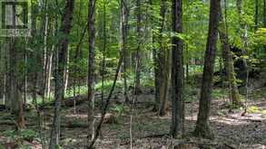 66 MCCAULEY ROAD | Rosseau Ontario | Slide Image Twelve