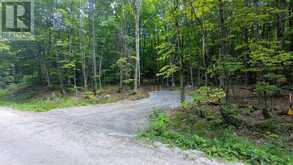 66 MCCAULEY ROAD | Rosseau Ontario | Slide Image Sixteen