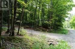 66 MCCAULEY ROAD | Rosseau Ontario | Slide Image Three