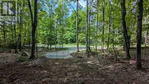 66 MCCAULEY ROAD | Rosseau Ontario | Slide Image Thirteen