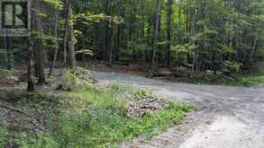 66 MCCAULEY ROAD | Rosseau Ontario | Slide Image Eighteen