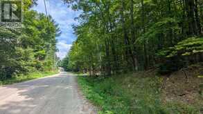 66 MCCAULEY ROAD | Rosseau Ontario | Slide Image Nineteen