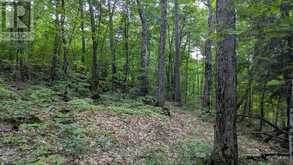 66 MCCAULEY ROAD | Rosseau Ontario | Slide Image Six