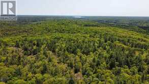 66 MCCAULEY ROAD | Rosseau Ontario | Slide Image Twenty-two