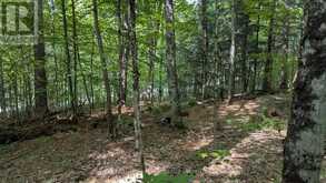 66 MCCAULEY ROAD | Rosseau Ontario | Slide Image Nine