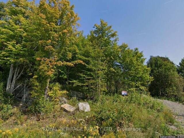 61 MARLUC AVENUE Minden Hills Ontario, K0M 2K0 - Vacant Land For Sale