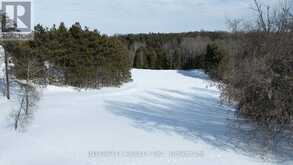 1915 SIMCOE COUNTY RD 50 | New Tecumseth Ontario | Slide Image Six